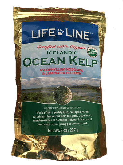 Benefits of Kelp for Dogs