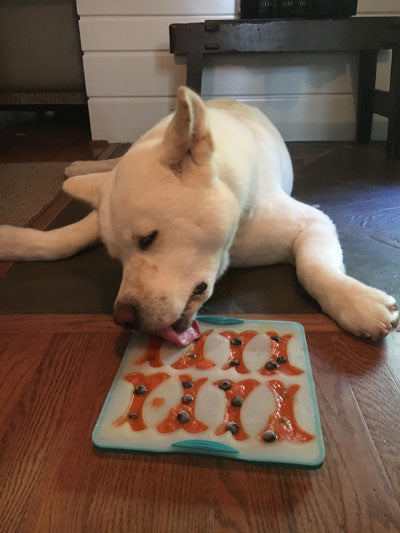 Frozen Carrot Dog Treat