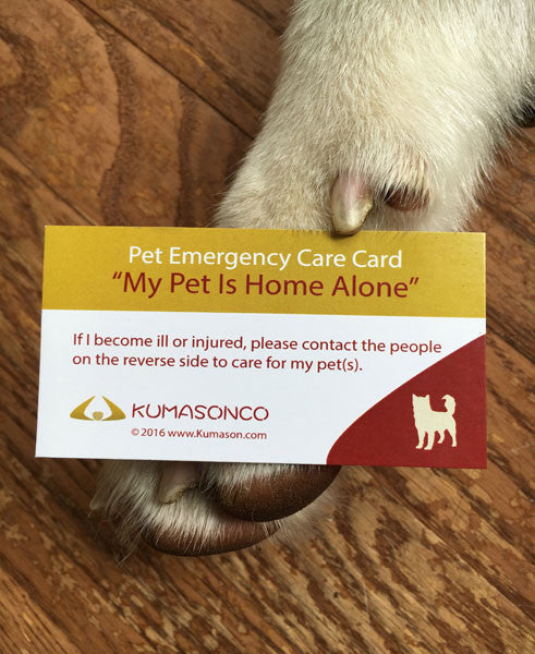 Pet Emergency Card & Laminating Pouch Dog (Qty 2)