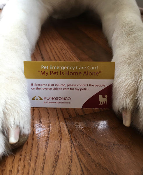 Pet Emergency Card & Laminating Pouch Dog (Qty 2)